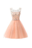 Short Lace Tulle Homecoming Dresses, Short Prom Dresses, Party Dresses,SHD60