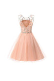 Short Lace Tulle Homecoming Dresses, Short Prom Dresses, Party Dresses,SHD60