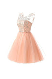 Short Lace Tulle Homecoming Dresses, Short Prom Dresses, Party Dresses,SHD60