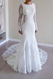 Lace Long Sleeve Backless Mermaid Wedding Dresses,Long Wedding Gowns,Bridal Dress,SVD505