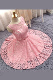 Princess Sheer Short Prom Dress,Appliques Floral Homecoming Dress Party Dress