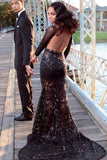 Long Black prom Dresses,BlackProm Dress,See Through Prom Dress,Evening dress SVD302