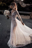 Bling A-line See Through Deep V Neck Long Sleeves Wedding Dresses, SW353