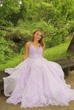Sparkly Lavender Tulle A-line V-neck Long Prom Dresses, Evening Gowns, SP719