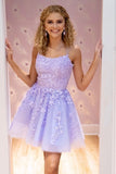 Tulle Lace A-line Spaghetti Straps Homecoming Dresses, Graduation Dress, SH558