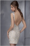 Short Glittering Prom Dresses,Charming Prom Dresses,Party Dresses Evening Dress SD306