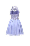 Fabulous Homecoming Dresses, Chiffon Short Prom Dresses, Bridesmaid Dresses,SH65