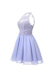 Fabulous Homecoming Dresses, Chiffon Short Prom Dresses, Bridesmaid Dresses,SH65