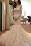 Pink Two Pieces Long Sleeve Glittering Mermaid Wedding Dresses with Appliques,SVD653